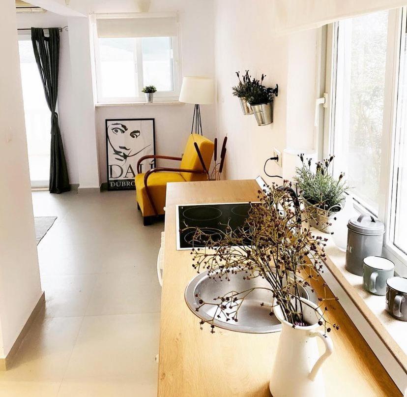 Apartament House Paula Klek Zewnętrze zdjęcie